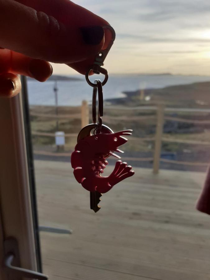 The Sleepy Crofter Glamping - Achiltibuie Hotel Екстериор снимка